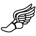 Campo Verde HS logo 1
